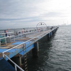 オリジナルメーカー海づり公園(市原市海づり施設) 釣果