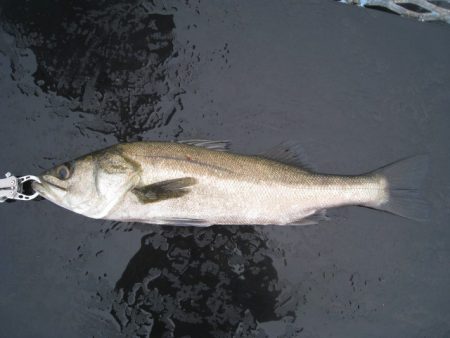 オリジナルメーカー海づり公園(市原市海づり…