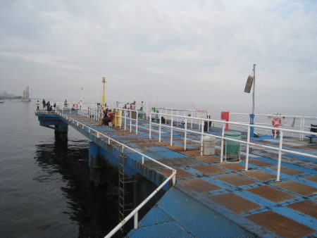 オリジナルメーカー海づり公園(市原市海づり施設) 釣果