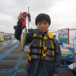 オリジナルメーカー海づり公園(市原市海づり施設) 釣果