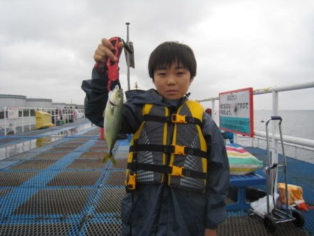 オリジナルメーカー海づり公園(市原市海づり施設) 釣果