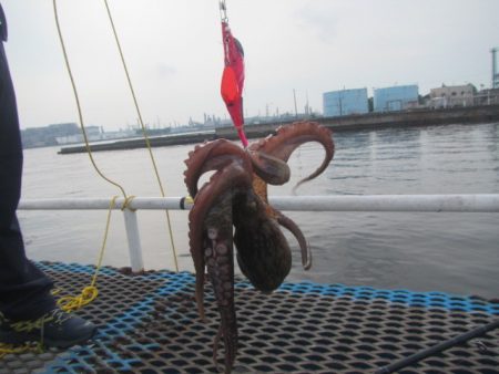 オリジナルメーカー海づり公園(市原市海づり施設) 釣果