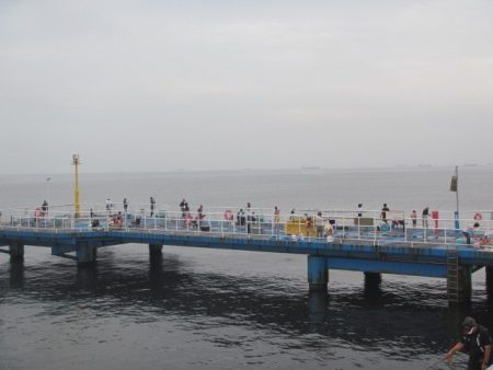 オリジナルメーカー海づり公園(市原市海づり施設) 釣果