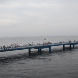 オリジナルメーカー海づり公園(市原市海づり施設) 釣果