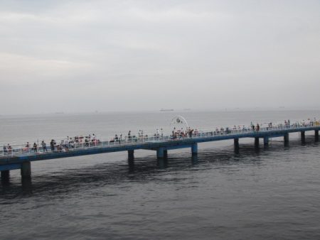 オリジナルメーカー海づり公園(市原市海づり施設) 釣果