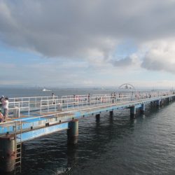 オリジナルメーカー海づり公園(市原市海づり施設) 釣果