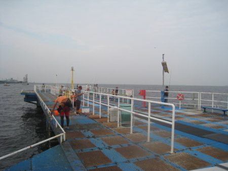 オリジナルメーカー海づり公園(市原市海づり施設) 釣果