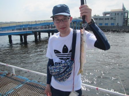 オリジナルメーカー海づり公園(市原市海づり施設) 釣果