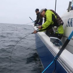 スカイマリン 釣果
