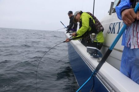 スカイマリン 釣果