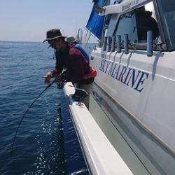 スカイマリン 釣果