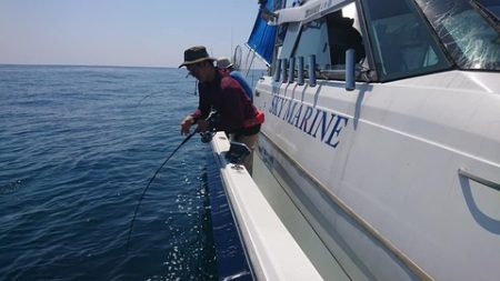 スカイマリン 釣果