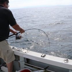 スカイマリン 釣果