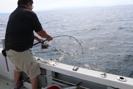 スカイマリン 釣果