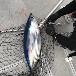 へいみつ丸 釣果