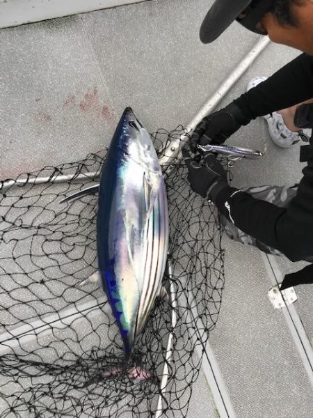 へいみつ丸 釣果