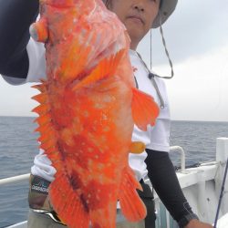 遊漁船 新鋭丸 釣果