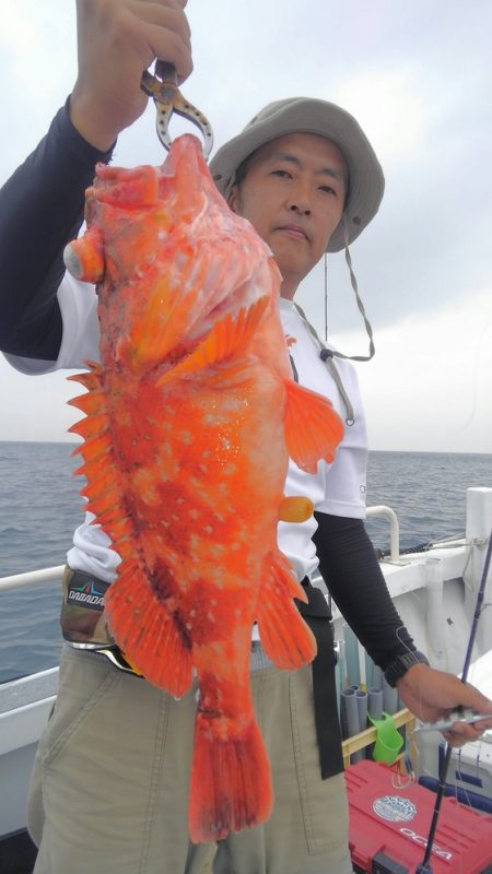 遊漁船 新鋭丸 釣果