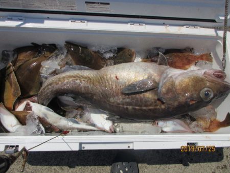 大進丸(新潟) 釣果