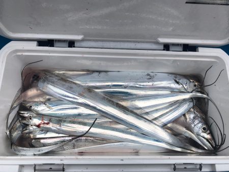 深川 吉野屋 釣果