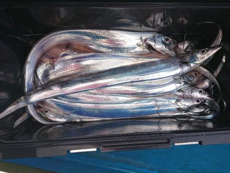 深川　吉野屋 釣果