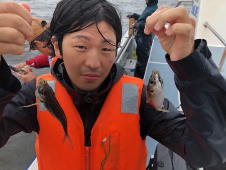 深川 吉野屋 釣果