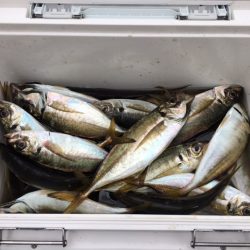 深川 吉野屋 釣果