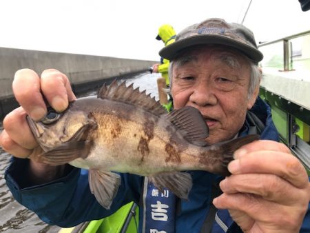深川 吉野屋 釣果