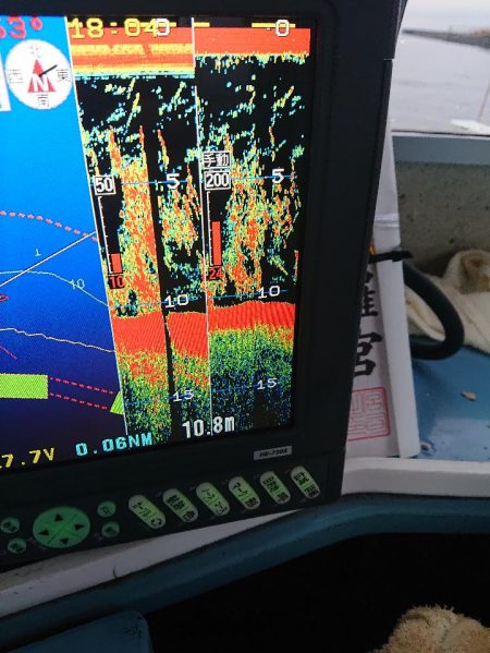 深川 吉野屋 釣果