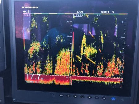 深川 吉野屋 釣果