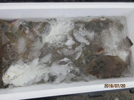 大進丸(新潟) 釣果