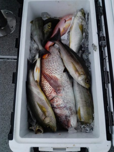 第二大福丸 釣果