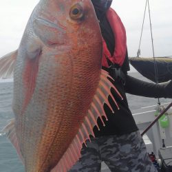 遊漁船 新鋭丸 釣果