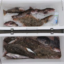 気仙沼　つり丸 釣果