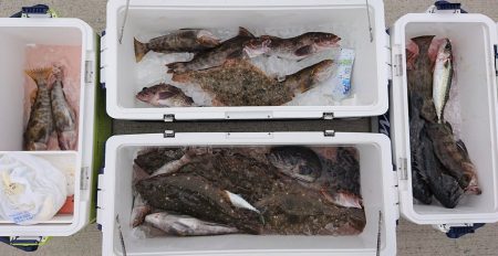 気仙沼　つり丸 釣果