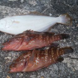 7月の釣果レポート【きた氏連載 vol.11】