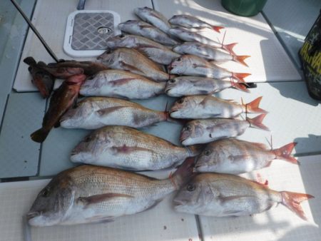 遊漁船 幸友丸 釣果