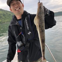 Magic（マジック） 釣果