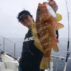 TOPGUN名古屋 釣果