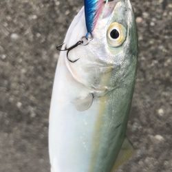 ナイトゲームのシーズンに使ってみたい！【ルミカ（LUMICA）メタルジャッカーマイクロインプレッション】