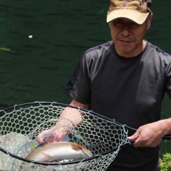 小菅トラウトガーデン 釣果