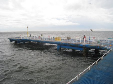 オリジナルメーカー海づり公園(市原市海づり施設) 釣果