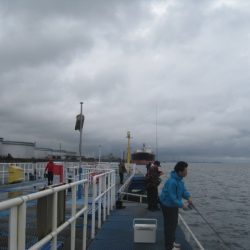 オリジナルメーカー海づり公園(市原市海づり施設) 釣果