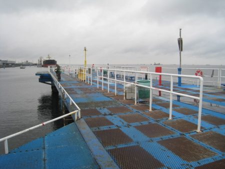 オリジナルメーカー海づり公園(市原市海づり施設) 釣果