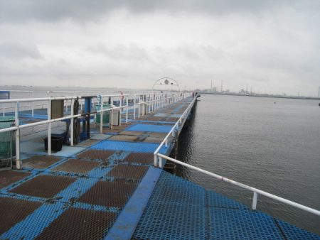 オリジナルメーカー海づり公園(市原市海づり施設) 釣果