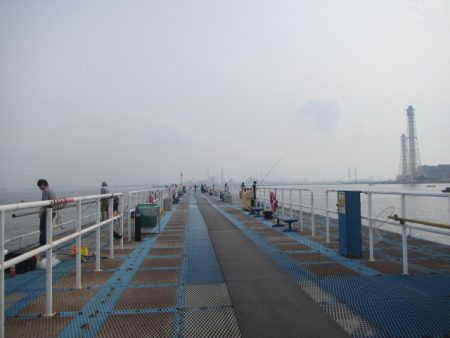オリジナルメーカー海づり公園(市原市海づり施設) 釣果