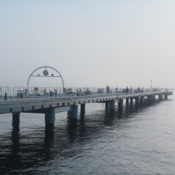 オリジナルメーカー海づり公園(市原市海づり施設) 釣果