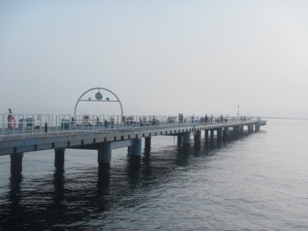 オリジナルメーカー海づり公園(市原市海づり施設) 釣果