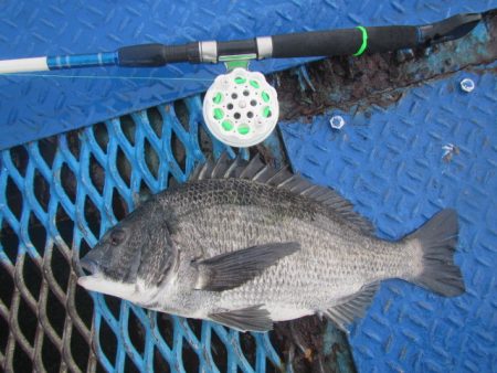 オリジナルメーカー海づり公園(市原市海づり…