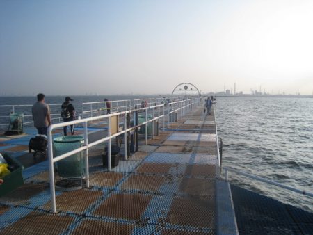 オリジナルメーカー海づり公園(市原市海づり施設) 釣果